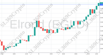 Accurate Prediction 675. Coin: Elrond (EGLD) hit 65.00