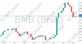 Accurate prediction 735 - BNB (BNB) hit $325