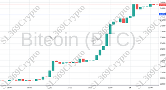 Accurate prediction 982 - Bitcoin (BTC) hit $24,399