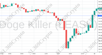 Accurate prediction 1024 - Doge Killer (LEASH) hit $516