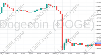 Accurate prediction 1206 - Dogecoin (DOGE) hit $0.06