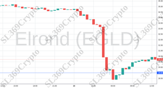 Accurate prediction 1221 - Elrond (EGLD) hit $29