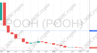 Accurate prediction 1258 - POOH (POOH) hit $0.0000000161