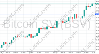 Accurate prediction 1627 - Bitcoin SV (BSV) hit $80