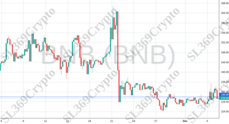 Accurate prediction 1543 - BNB (BNB) hit $230