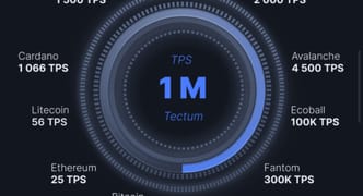 Vision log 1233- BTC's 2025 top timeline, Steve's predictions summary, price predictions for Trias, Tectum, Sui, Sei, Ethereum, BNB, Tia Celestia, Power Ledger, MultiverseX Egld, Graph, AIT, big tech of blockchain, the power of research