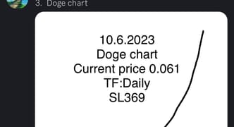 Vision log 1257 PART 8 - Doge’s chart and their prediction… a few are regretting for not picking up Doge