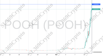 Accurate prediction 2029 - POOH (POOH) hit $0.00000011