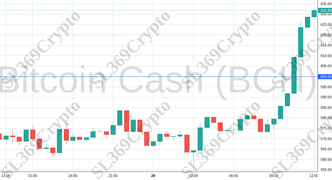 Accurate prediction 2055 - Bitcoin Cash (BCH) hit $600