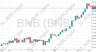 Accurate prediction 1971 - BNB (BNB) hit $455