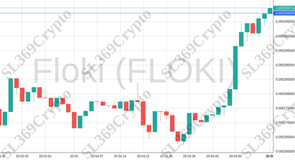 Accurate prediction 2120 - Floki (FLOKI) hit $0.000308