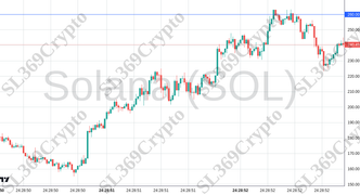 Accurate prediction 2474 - Solana (SOL) hit $260