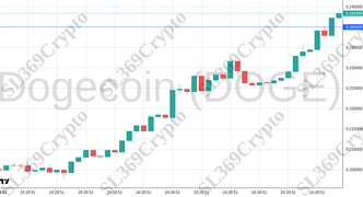 Accurate prediction 2353 - Dogecoin (DOGE) hit $0.24