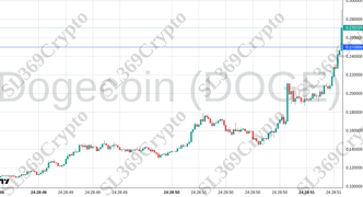 Accurate prediction 2370 - Dogecoin (DOGE) hit $0.25