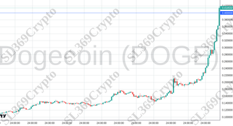 Accurate prediction 2393 - Dogecoin (DOGE) hit $0.4